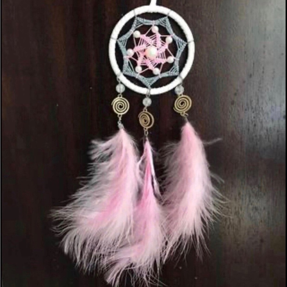 Pink Feather Dreamcatcher Wall Decor
